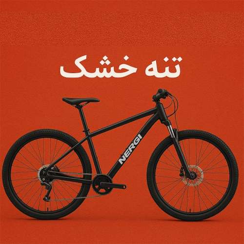 دوچرخه تنه خشک