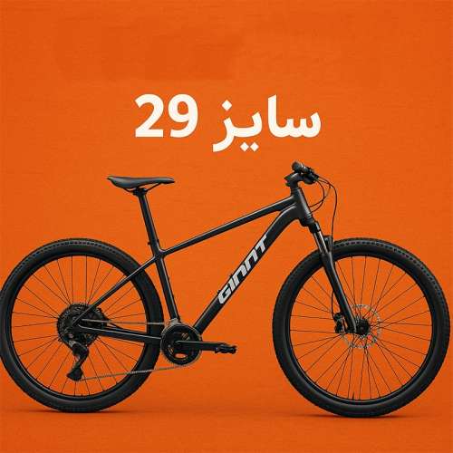 دوچرخه 29